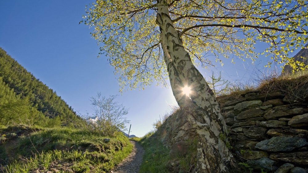 «Принцип надежды — невероятно мощная сила»: министр из Баварии о вере, спорте и политике