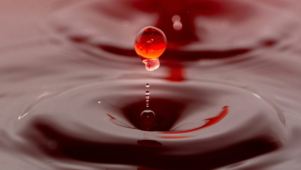 Немецкий Красный Крест бьёт тревогу: по всей стране срочно нужны доноры крови