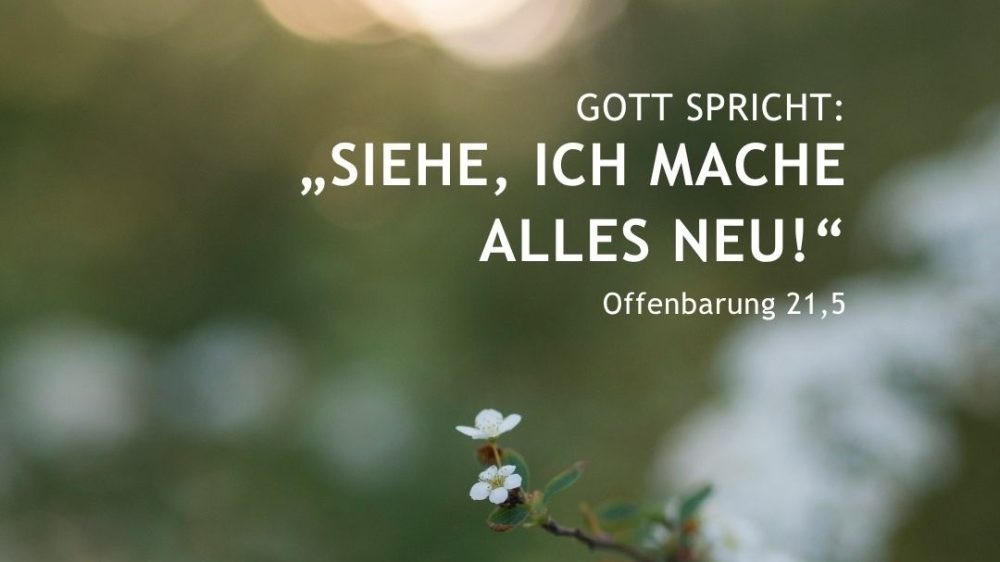 Там, где Бог раскидывает шатер: как стих из Откровения стал девизом 2026 года