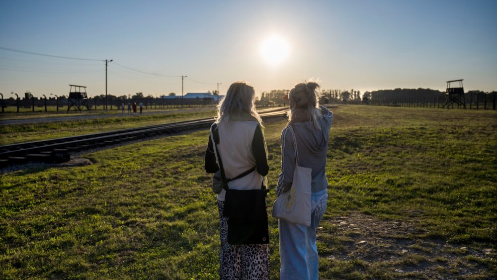 ИИ-фейки о нацизме: как соцсети наводняют искажения истории Холокоста