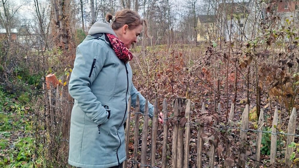 Карманные леса для спасения климата: как мини-джунгли в городе меняют экологию
