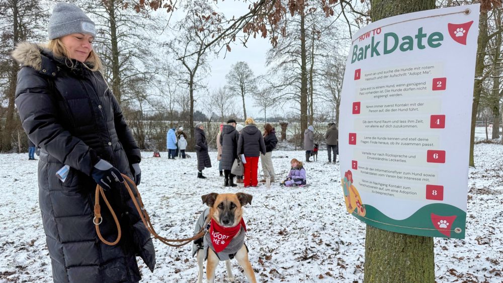 Свидание с хвостатыми: в Германии набирает популярность «собачий спид-дейтинг» для поиска хозяев