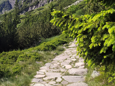 Слово Мое проложит твой путь | Присутствие - Момент с Иисусом