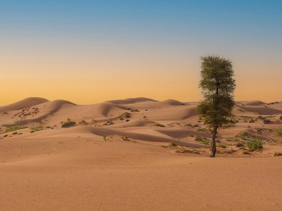 В твоей пустыне Моё присутствие — твой оазис | Присутствие — Момент с Иисусом