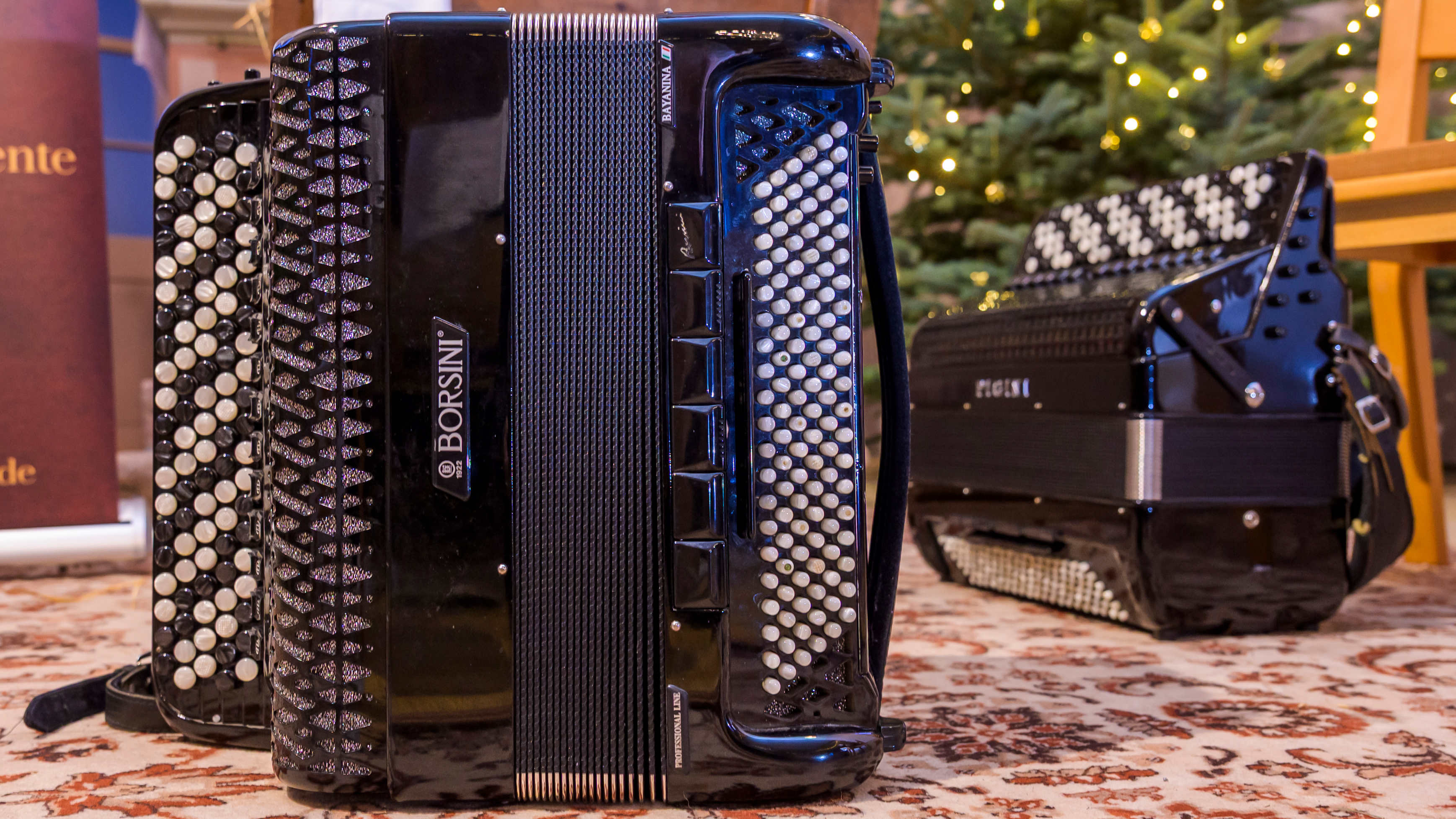 Принцесса инструментов: аккордеон признан «Инструментом года-2026» в Германии