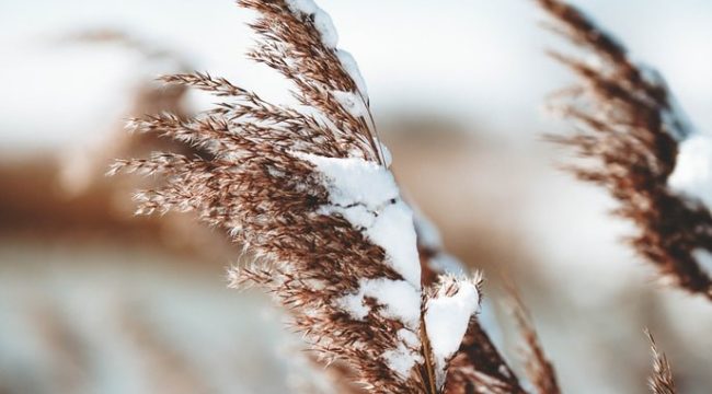 Вера, испытываемая страданиями, требует особой стойкости
