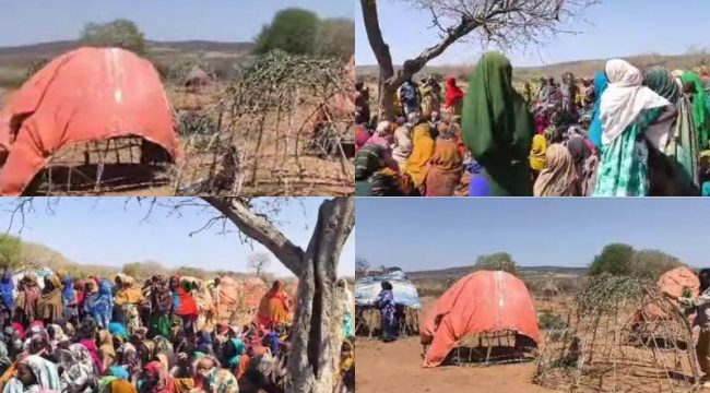 Католические миссионеры обучают женщин борьбе с МГФ и ранними婚ами в Эфиопии