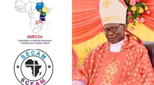 Кардинал Пенко из Танзании признан «замечательным пастырем», защищавшим африканские культурные ценности