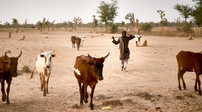 Конфликт в Нигерии вынуждает христианских обращенцев покидать родные места