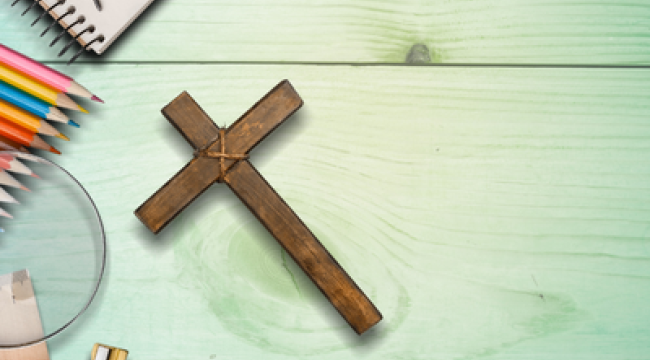 Католические школы Ласалля: конгрегация опровергла существование "преступной сети"