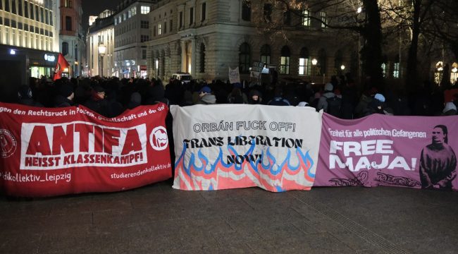 Протесты в ответ на приговор Маджи Т. в Будапеште