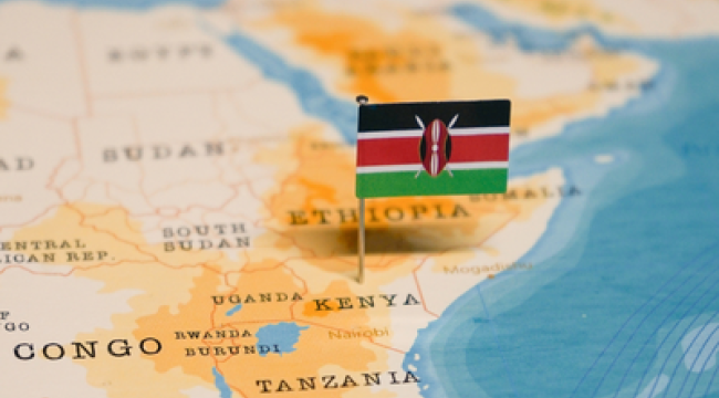 Кения: Самопровозглашенный пастор смертельной секты обвинен в 52 дополнительных смертях