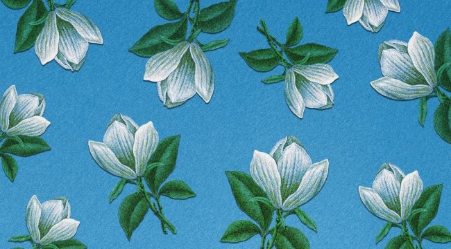 Я тосковую по своей старой церкви и дереву рядом с ней