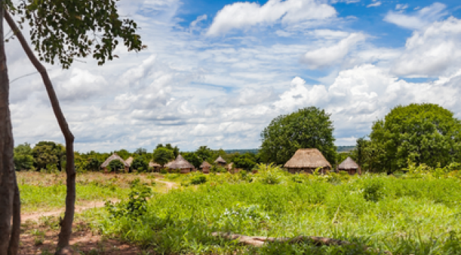 Нигерия: почти половина из 166 похищенных христиан вернулась домой