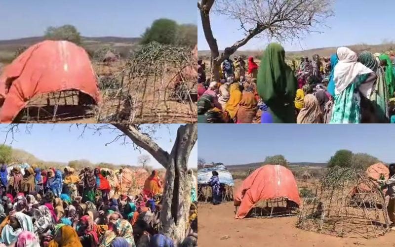 Католические миссионеры обучают женщин борьбе с МГФ и ранними婚ами в Эфиопии