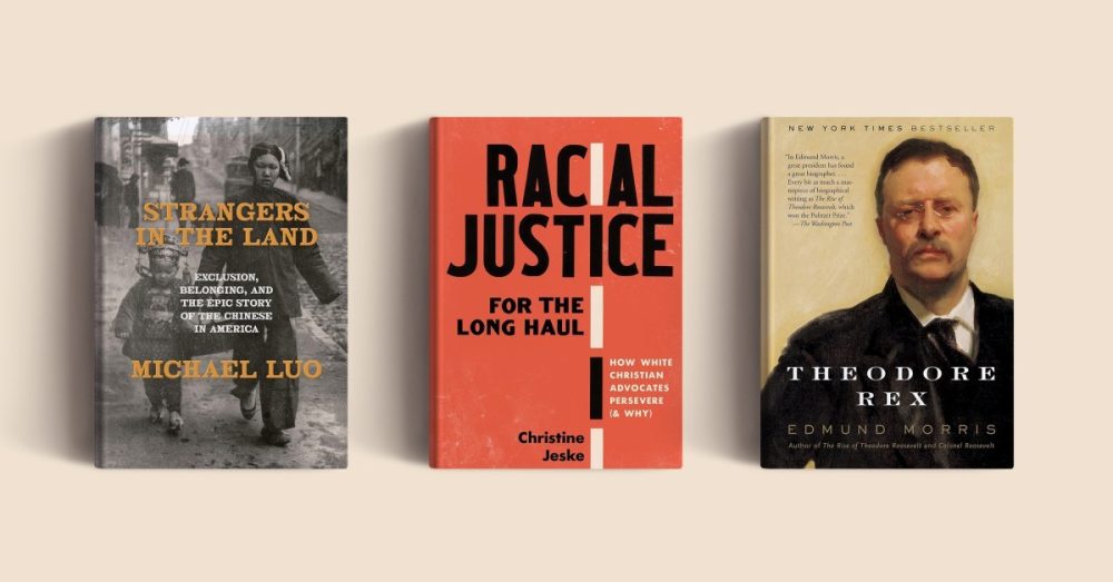 Размышления о расе, иммиграции и власти