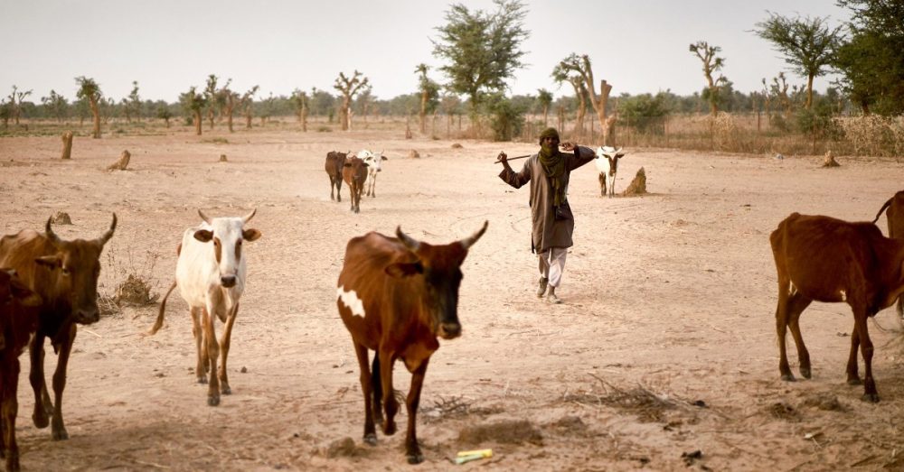 Конфликт в Нигерии вынуждает христианских обращенцев покидать родные места