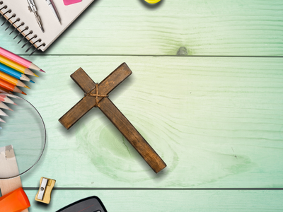 Католические школы Ласалля: конгрегация опровергла существование "преступной сети"