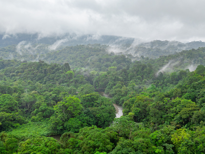 В Колумбии судят мексиканских меннонитов за вырубку лесов