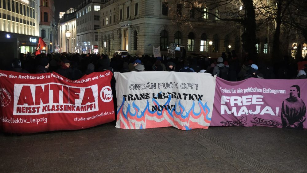 Протесты в ответ на приговор Маджи Т. в Будапеште