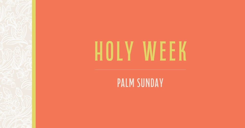 Да будет свет: размышления о Входе Господнем в Иерусалим