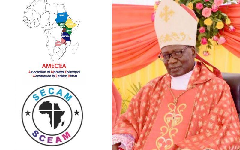 Кардинал Пенко из Танзании признан «замечательным пастырем», защищавшим африканские культурные ценности