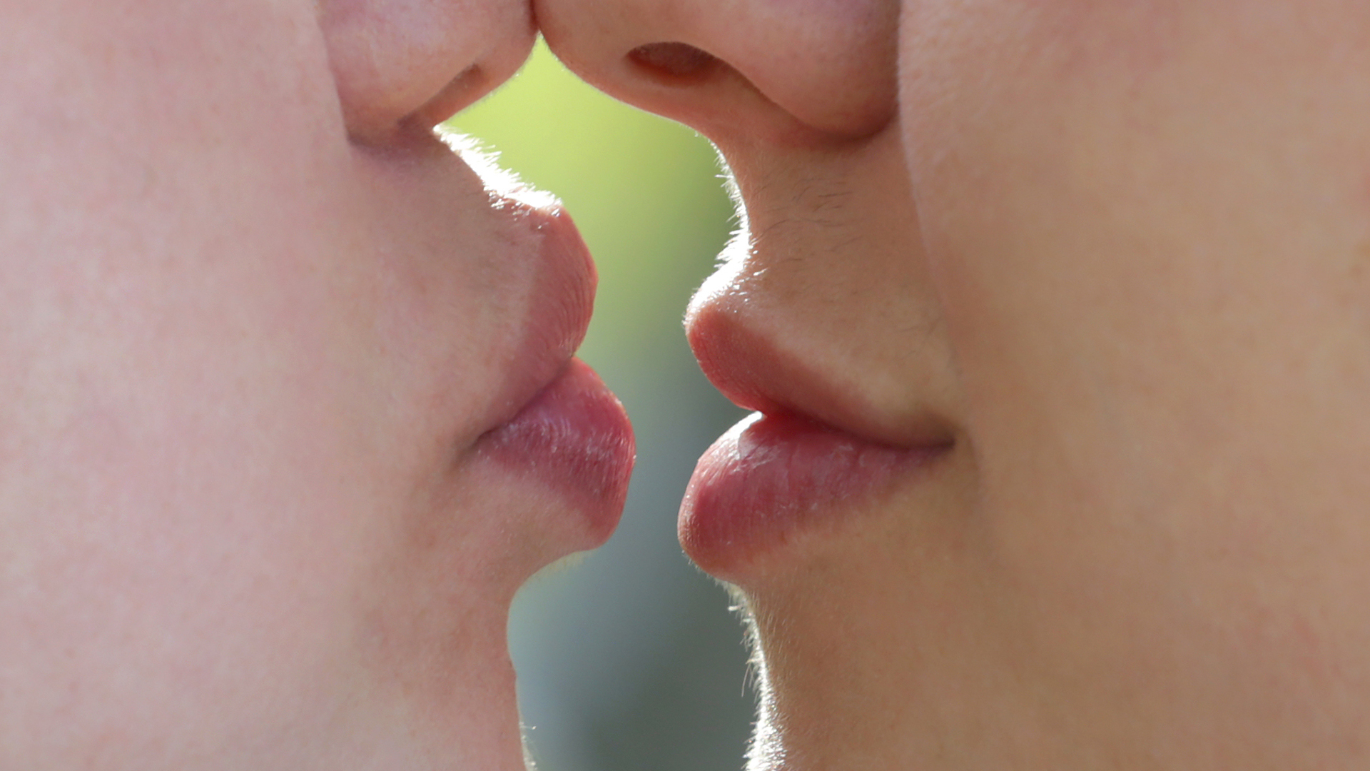 Забор поцелуев временно снят: Гänseliesel радует горожан