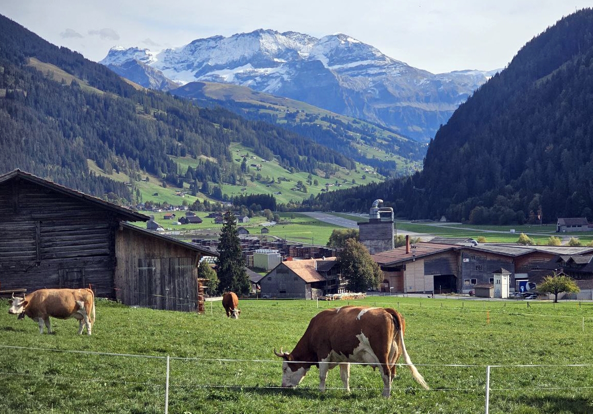 Церковь фермеров в Швейцарии адаптирует богослужение к сельской жизни