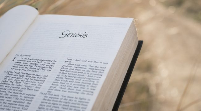 Продажи Библии в 2025 году выросли на 19%: данные NielsenIQ