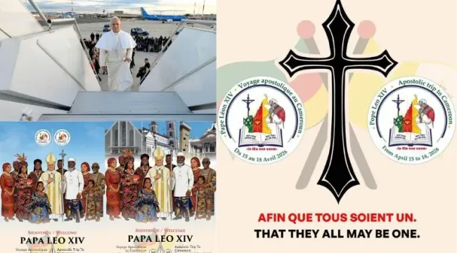 Католическая архиепархия Яунде планирует собрать 50 000 молодых людей на заключительную мессу визита Папы в Камерун