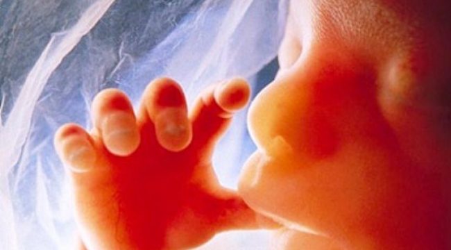 Большинство британцев поддерживают юридическую защиту для нерожденных детей с сердцем, согласно опросу