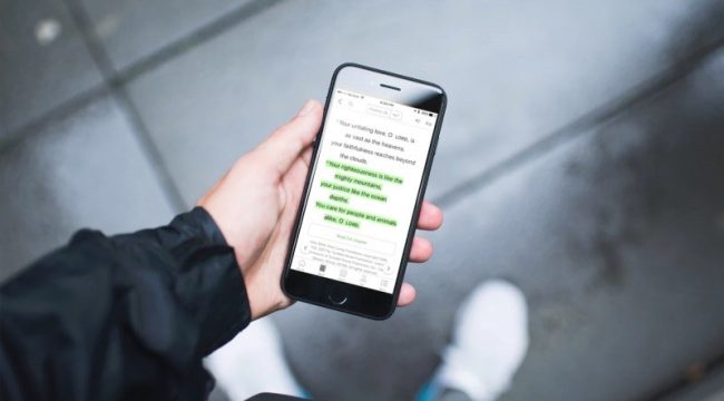 Ошибки в цитировании Библии AI достигают 60%, говорит CEO YouVersion