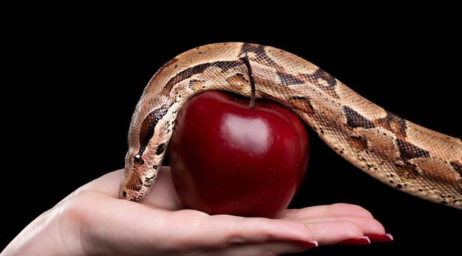 Как определить, является ли что-то грехом?