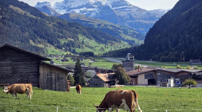 Церковь фермеров в Швейцарии адаптирует богослужение к сельской жизни