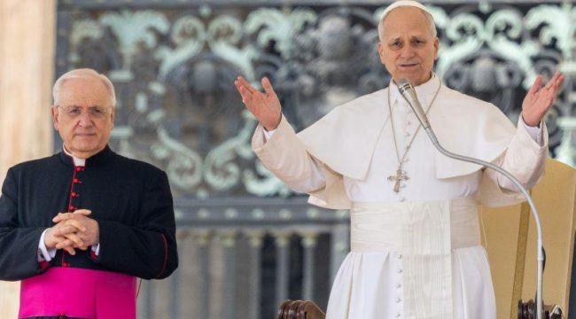 Папа Лев XIV объясняет «человеческие и божественные измерения» Церкви