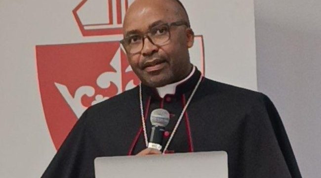 Папа Лев XIV назначил епископа Кокстада апостольским администратором епархии Мтата