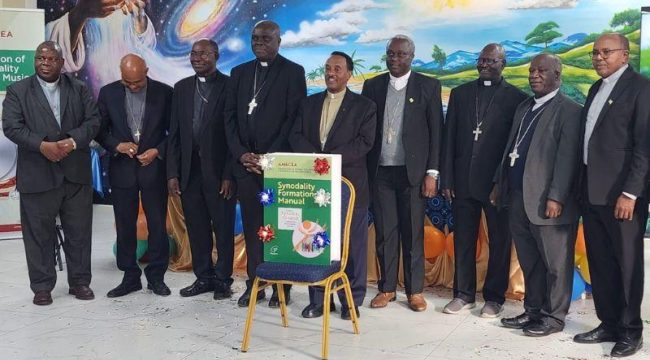 Новый синодальный учебник AMECEA признан «живым пастырским инструментом»