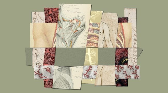 Причастие, сексуальность и божественный порядок творения