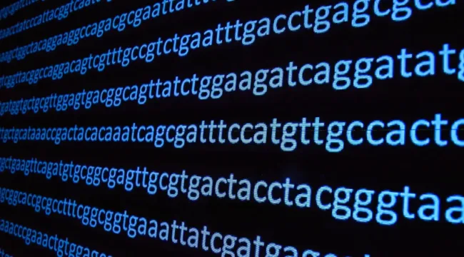 Базы данных ДНК: на пути к служению, а не к рабству