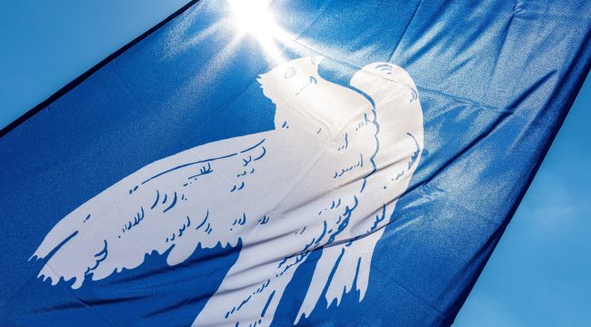 Немедленное прекращение насилия на Ближнем Востоке