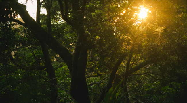 Искренний шёпот стоит тысячи молитв | Присутствие - Момент с Иисусом