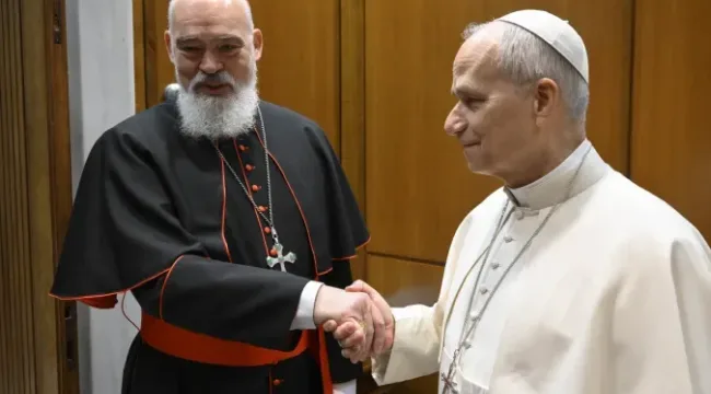 Кардинал Тегерана встретился с папой Львом XIV после эвакуации из Ирана