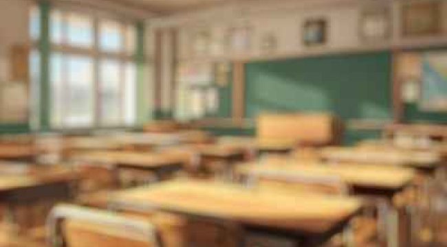 Католические школы Ласалей: 165 жертв сексуальных и физических нападений с 1950-х годов