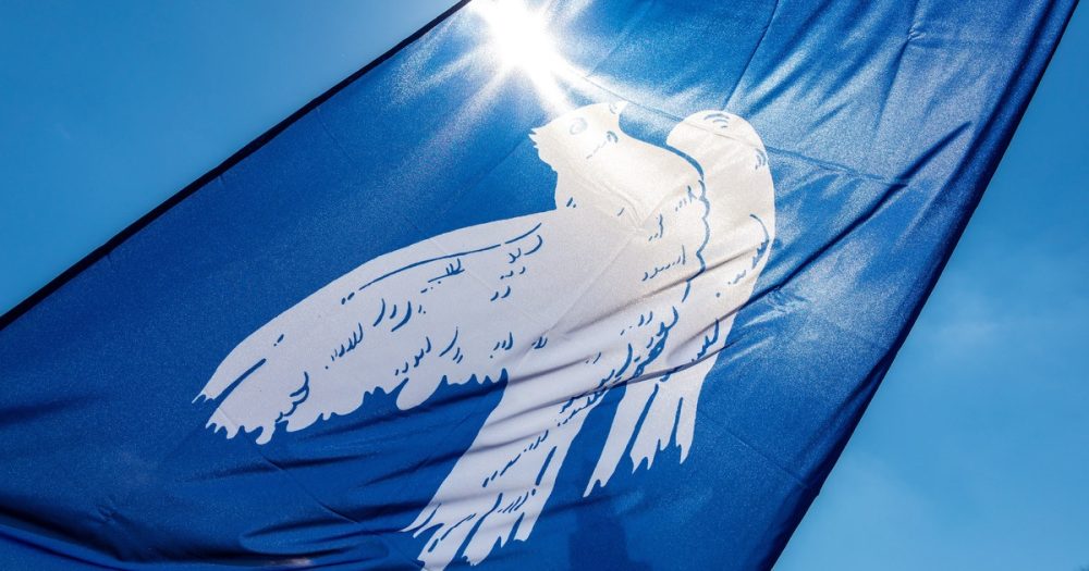 Пасхальные марши: О чём речь в этом году?