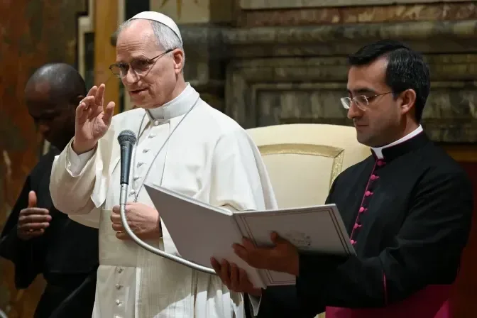 Папа Лев XIV: даже самые трудные ситуации могут быть преобразованы силой любви
