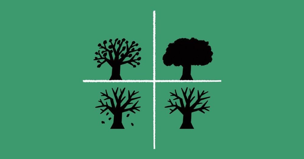 Рождение и Смерть: Важные Вопросы Жизни