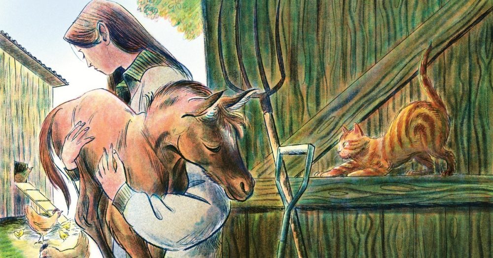 Птицы и пчёлы, дети и я: размышления о жизни без детей