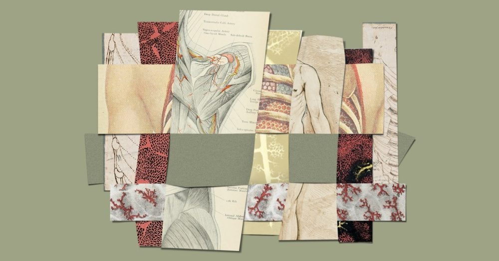 Причастие, сексуальность и божественный порядок творения