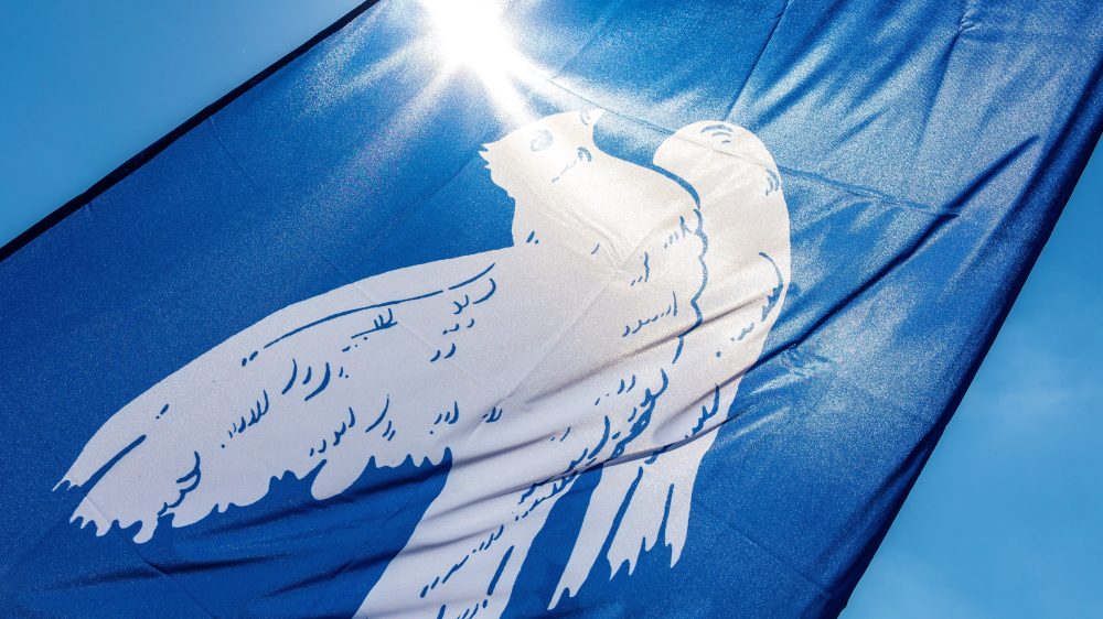 Немедленное прекращение насилия на Ближнем Востоке