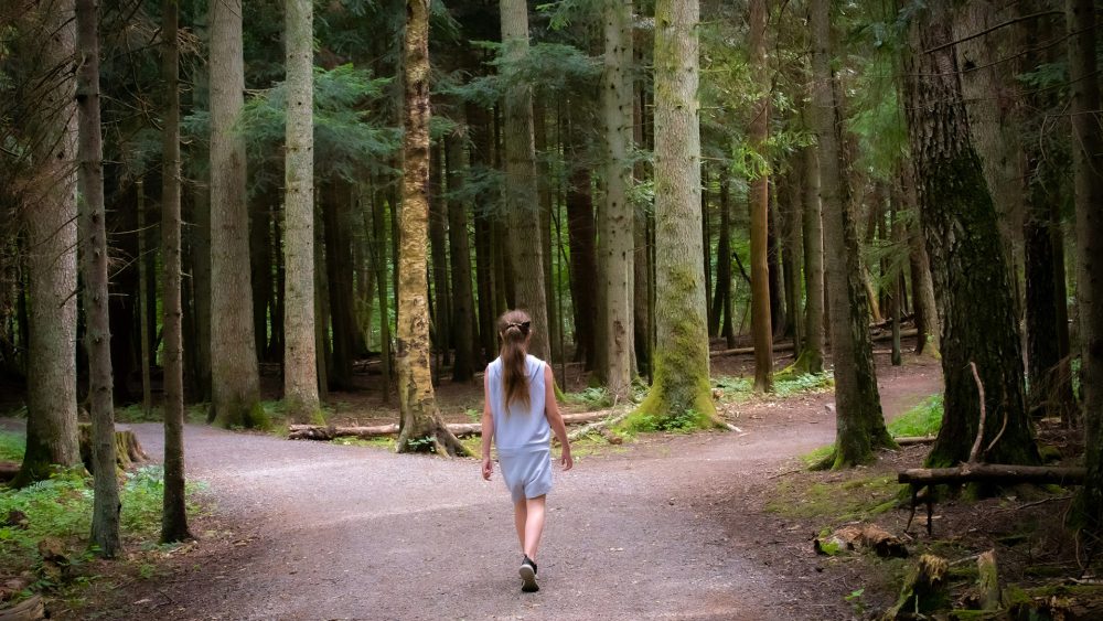 Я хочу стать муниципальным политиком!